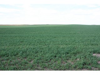 Property photo 44 - LAND AUCTION, 3255+/- Acres offered in 13 Tracts
